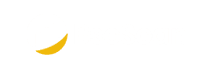 BscScan Token Explorer